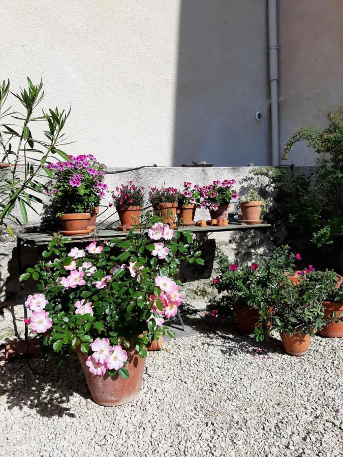 Maison D'Hotes Ventoureso Malemort-du-Comtat Kültér fotó