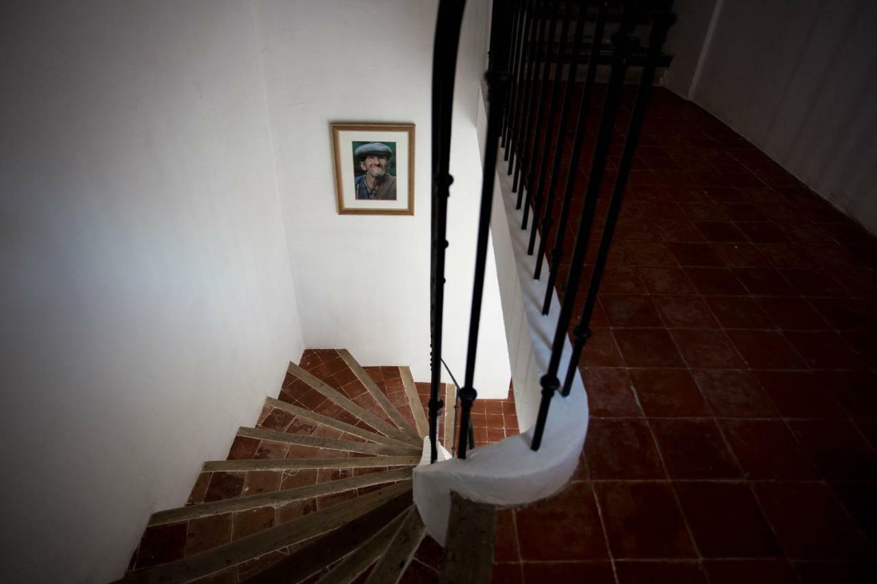 Maison D'Hotes Ventoureso Malemort-du-Comtat Kültér fotó